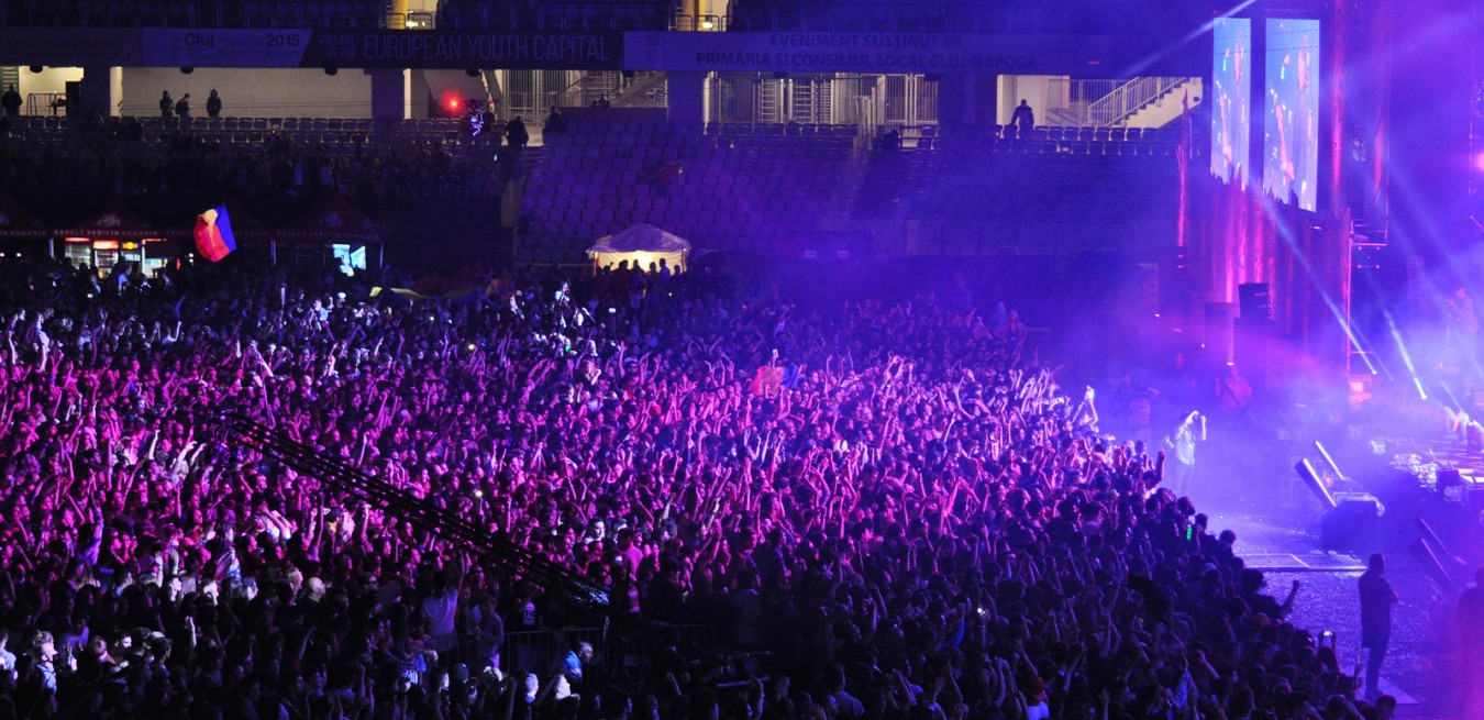Crowd Of People With Raised Hands At A Concert